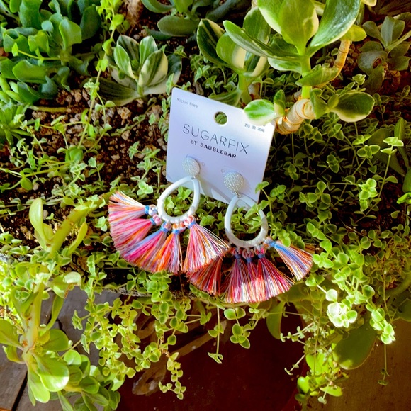 NWT tassle hoop earrings - Picture 1 of 1